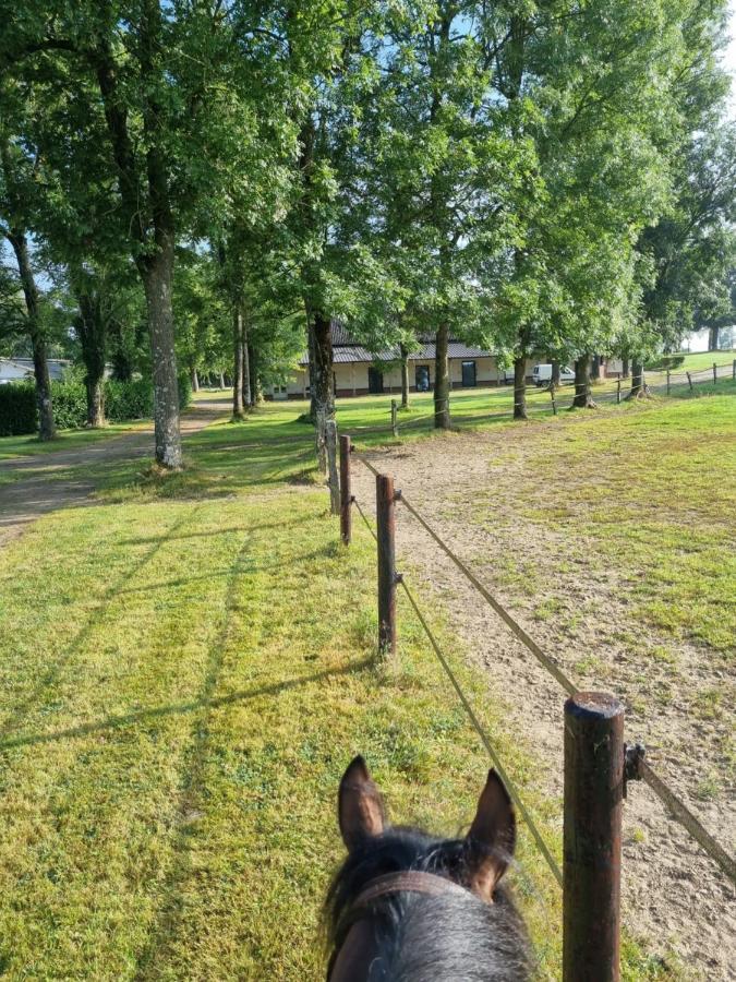 Haras Du Bois * Formerie