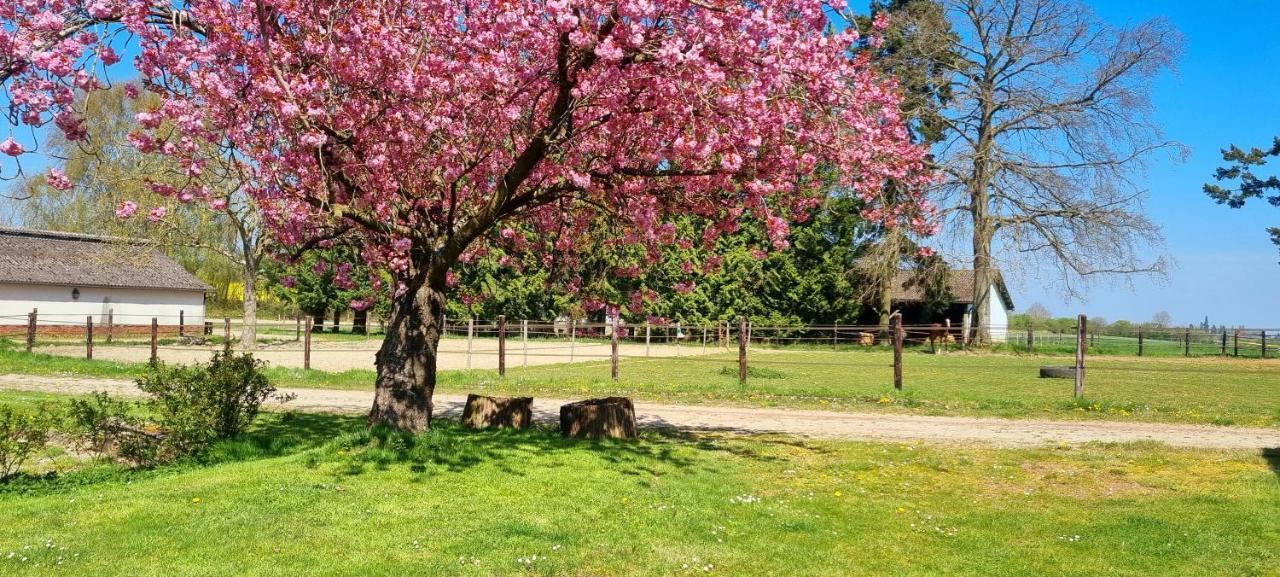 Haras Du Bois Hébergement de vacances